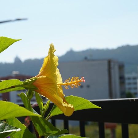 Jardim Da Celeste เวียนา โด กัสเตโล ภายนอก รูปภาพ