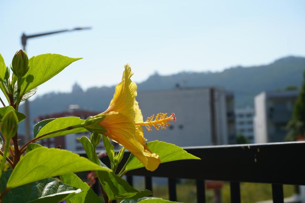 Jardim Da Celeste เวียนา โด กัสเตโล ภายนอก รูปภาพ