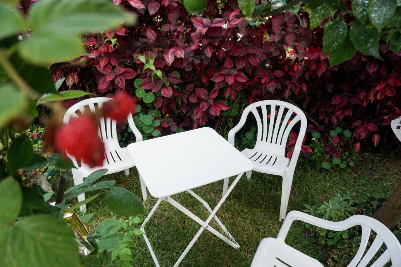 Jardim Da Celeste เวียนา โด กัสเตโล ภายนอก รูปภาพ